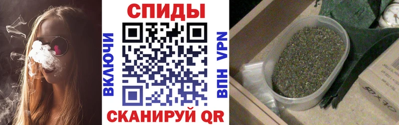 где найти   Злынка  Бутират бутик 