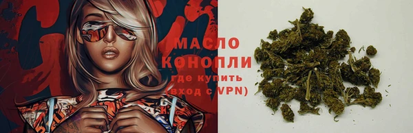 сатива Горнозаводск