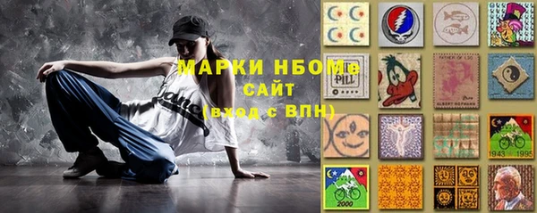 прущий лед Алзамай