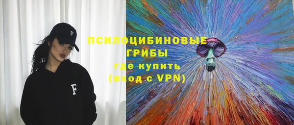 дживик Алексин
