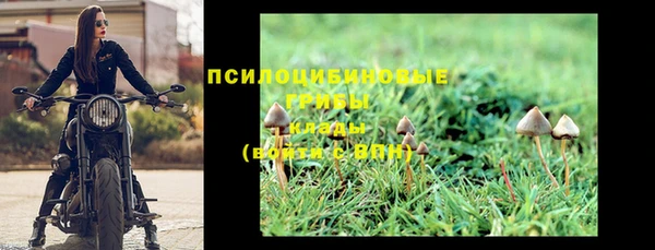 дживик Алексин
